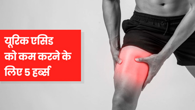 बढ़े हुए यूरिक एसिड को कम करने के लिए करें इन 5 आयुर्वेदिक हर्ब्स का सेवन, मिलेगा फायदा